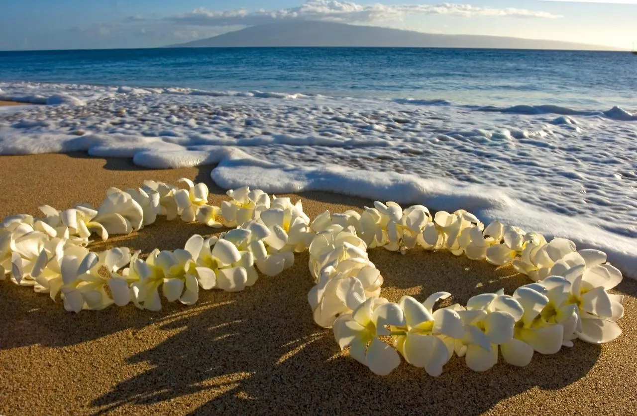Mountain View Oasis, Steps From Beach With Parking! Honolulu
